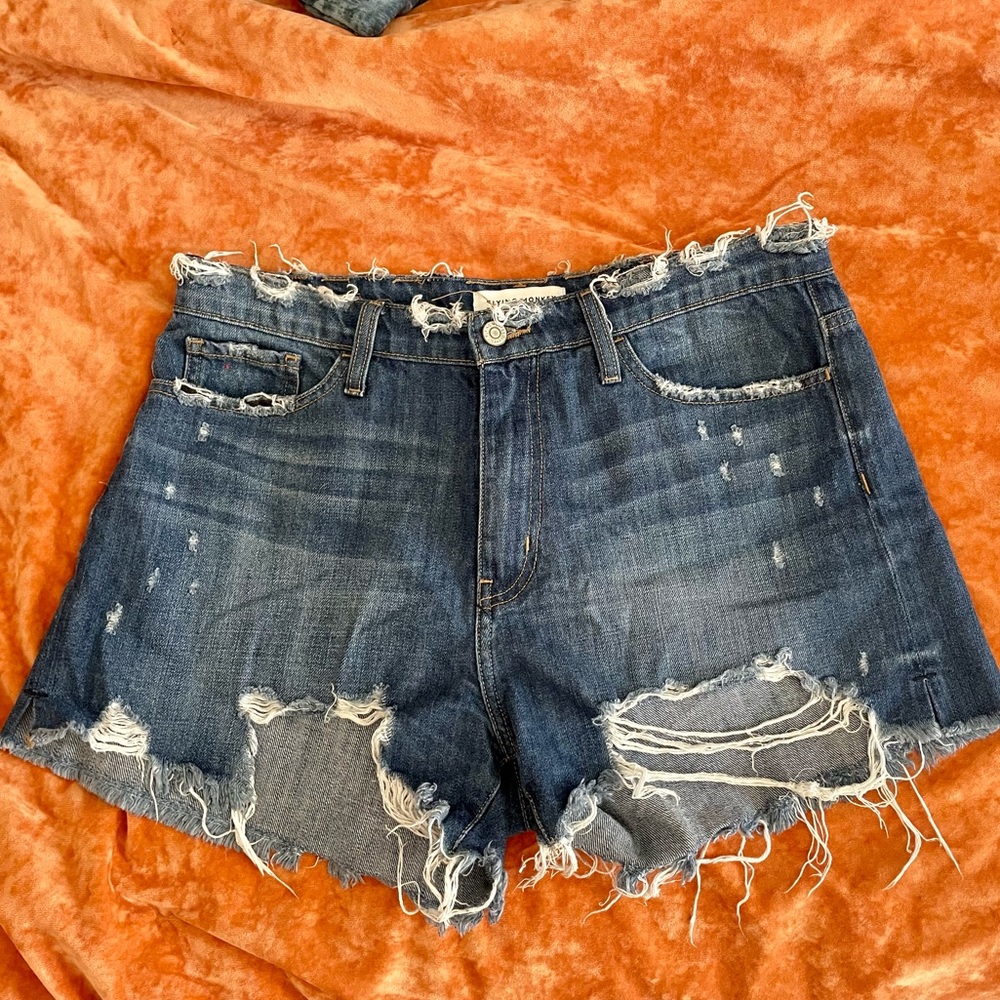 Womens Flying Monkey Distressed Jean Shorts